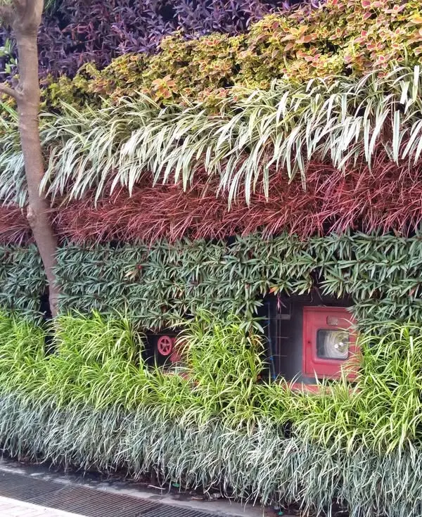 This colorful outdoor green wall features horizontal bands of different plant species, including Rhoeo and ribbon grass. The design cleverly incorporates utility boxes, turning a functional necessity into a seamless part of the landscape.