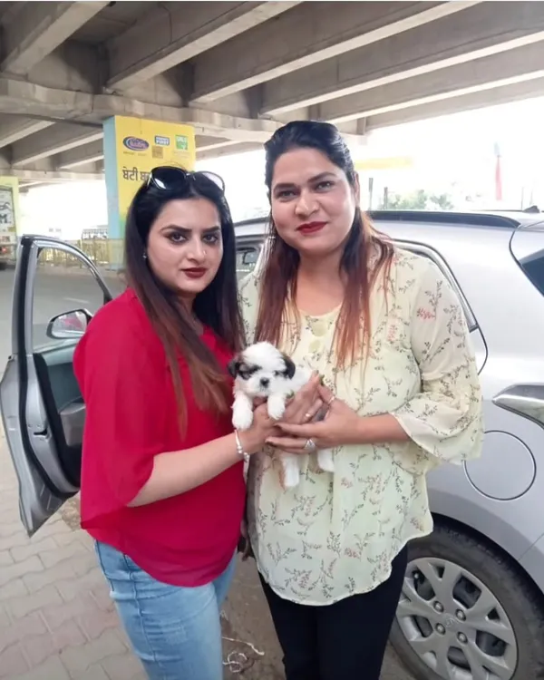 Another happy client with her new tri-color Shih Tzu puppy. We handled the delivery safely, and the pup settled into its new home right away.