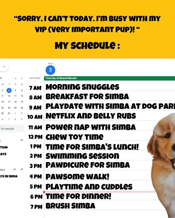 Who can relate? Our schedule revolves around our Very Important Pups, from morning snuggles and "pawdicures" to playtime and cuddles. They're the real bosses!