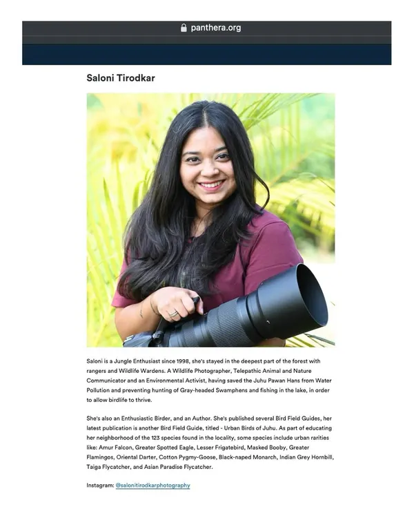 A huge milestone! I am officially a Partner Photographer for Panthera, the global wild cat conservation organization. It's an honor to have my work recognized and used to support the protection of these incredible animals.