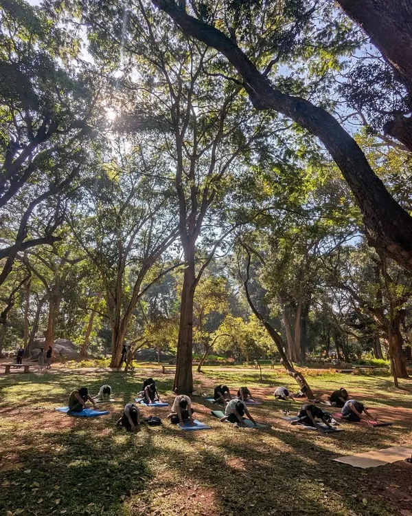 This is what it’s all about. Finding a moment of peace together under the big trees of Cubbon Park. The sunlight, the fresh air, and the collective breath make these outdoor yoga sessions truly special.