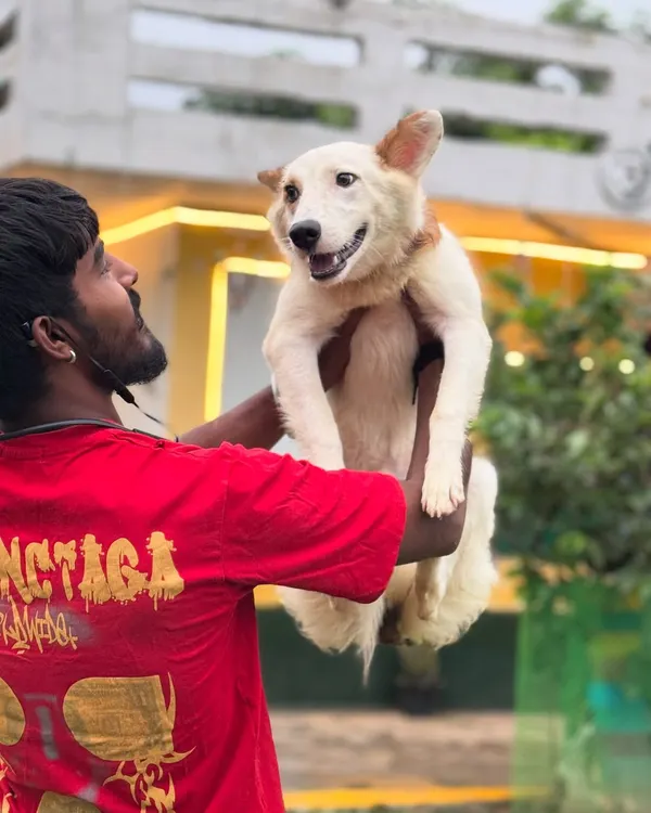 Life is lighter when you carry love. I make sure every dog gets plenty of one-on-one affection and cuddles during their stay.