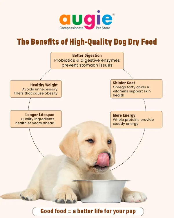The benefits of high-quality dry food are huge. It promotes better digestion, helps maintain a healthy weight, contributes to a shinier coat, and provides more energy. Good food truly means a better life for your pup.