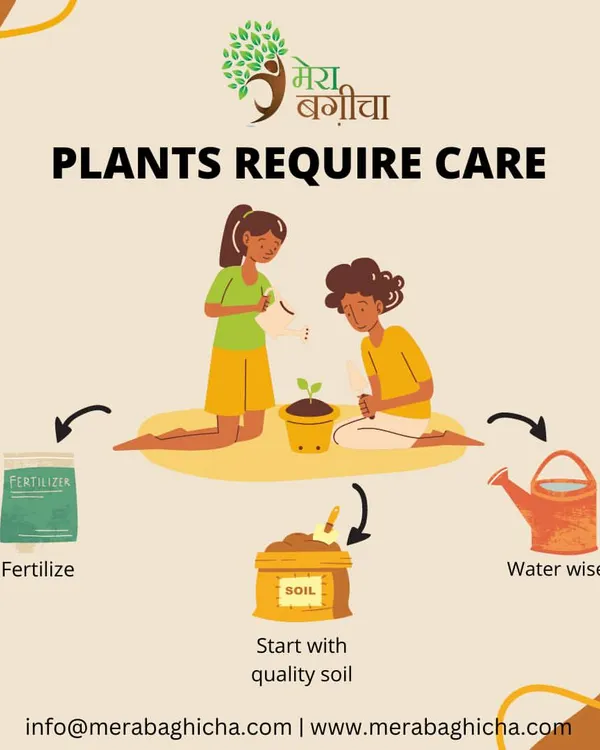 Taking care of your plants, especially in the summer heat, is very important. This guide provides tips on watering, mulching, providing shade, and using fertilizer to keep your plants healthy and safe.