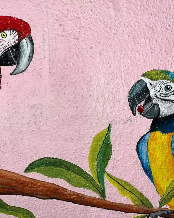 A detail shot from a tropical bird mural I painted. I use high-quality acrylics to ensure the colors are bright and the artwork lasts for years.