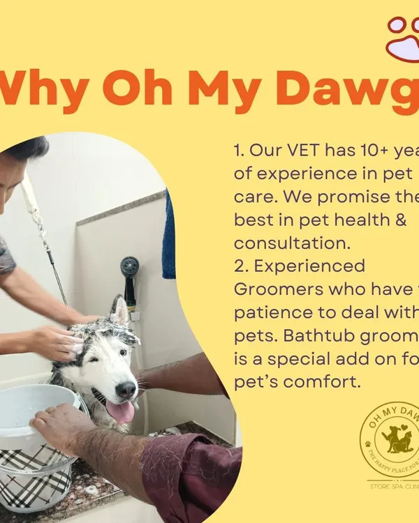 Why choose Oh My Dawg? Because my vet has over 10 years of experience, and my groomers have the patience to make every pet feel comfortable. My unique bathtub grooming is just one way I prioritize your pet's comfort.