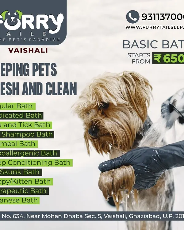 Our Basic Bath service is perfect for keeping your pet fresh and clean. This package includes a variety of bath types, such as regular, medicated, and hypoallergenic, available at our Vaishali location.