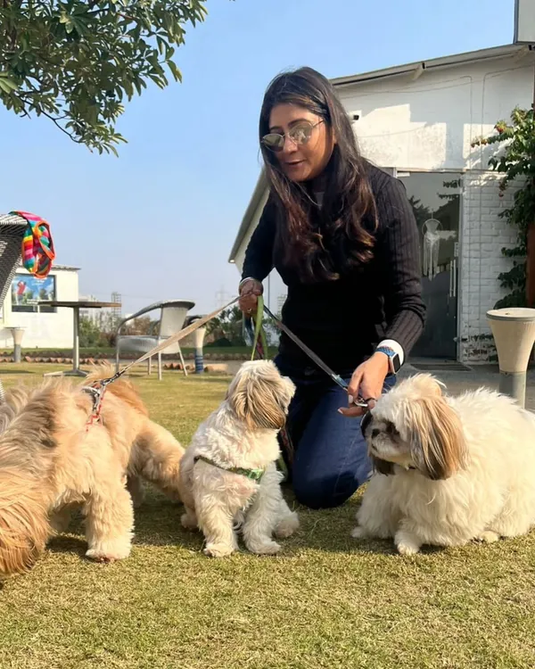 I treat your pet buddies as our special guests. Here we are celebrating a dog's first birthday with his furry family on our sunny lawn.