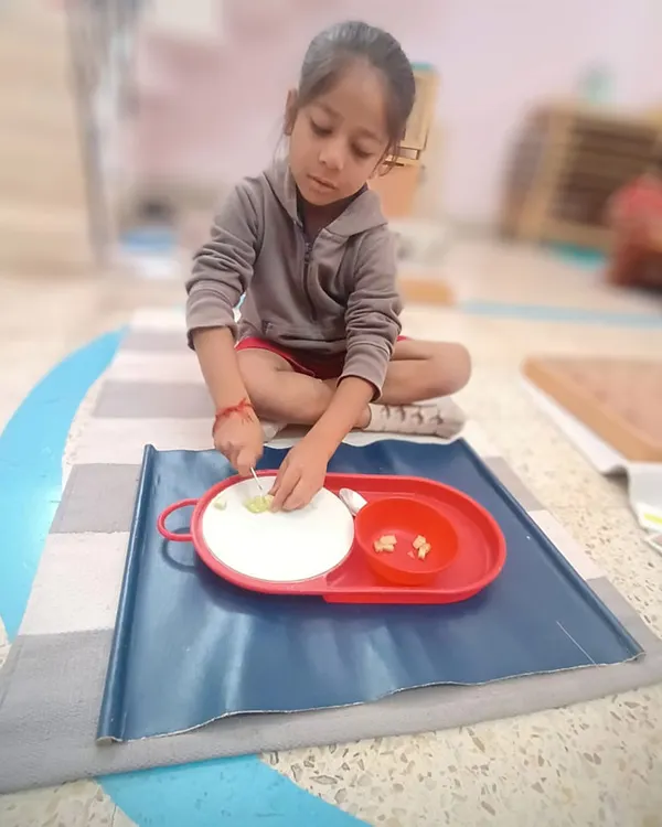 Using a child-safe knife, this student is carefully cutting a cucumber. This practical life activity is fantastic for developing fine motor skills, concentration, and the independence that comes from preparing one's own food.