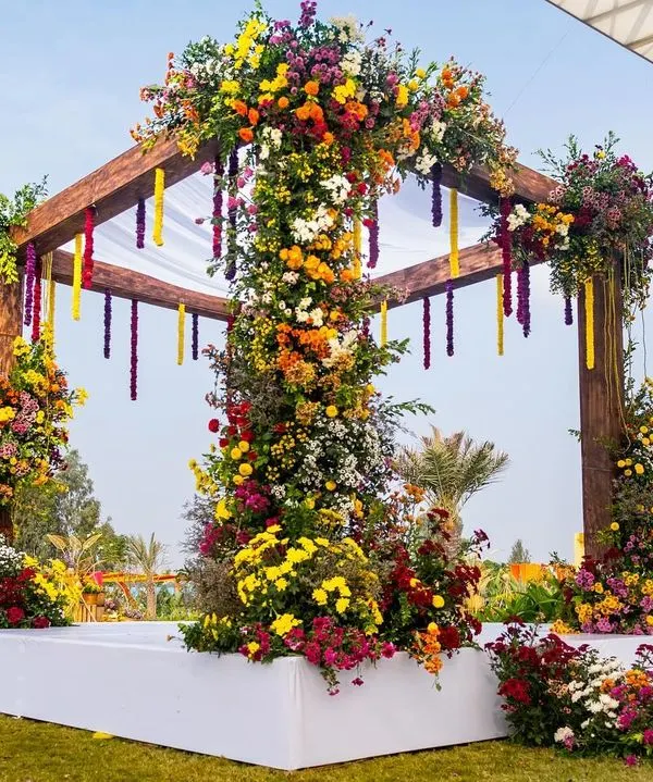 This is what I love to create: a breathtaking floral mandap that feels like a garden paradise. For this wedding, we used a vibrant mix of local, seasonal flowers to create a design that was both spectacular and in harmony with the beautiful green landscape of the venue.