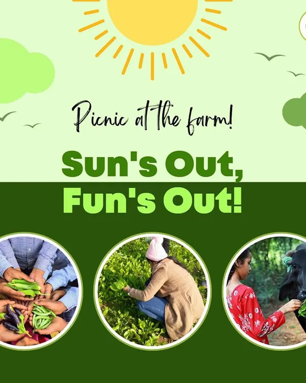 Come for a picnic and make memories that will last a lifetime. Our farm is the perfect place to unwind with your family, with activities like vegetable plucking, tractor rides, and animal petting. It’s a day of fun in the sun, away from the city rush.