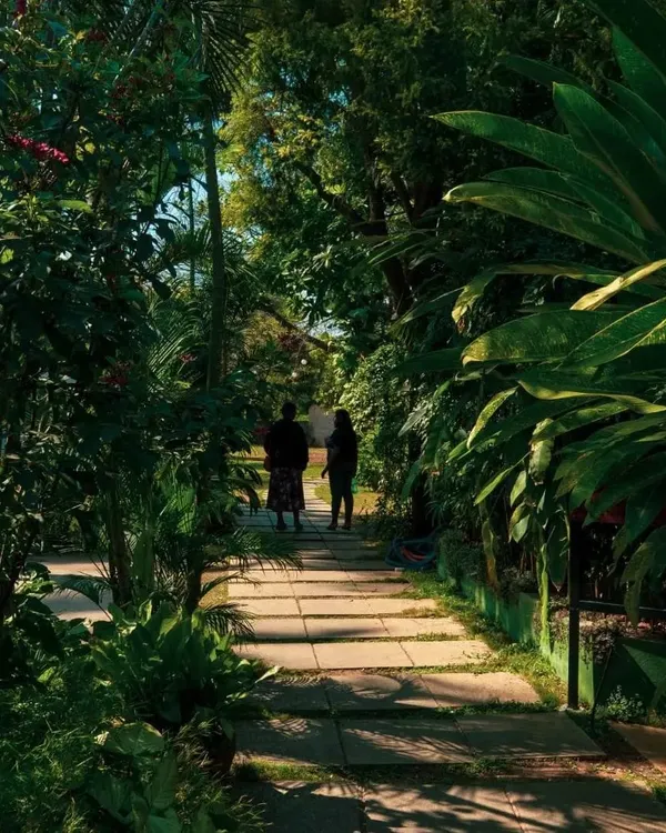 A quiet stone pathway surrounded by lush, tropical foliage. We've designed our resort with many such walking paths for you to explore and find your own peaceful corner.