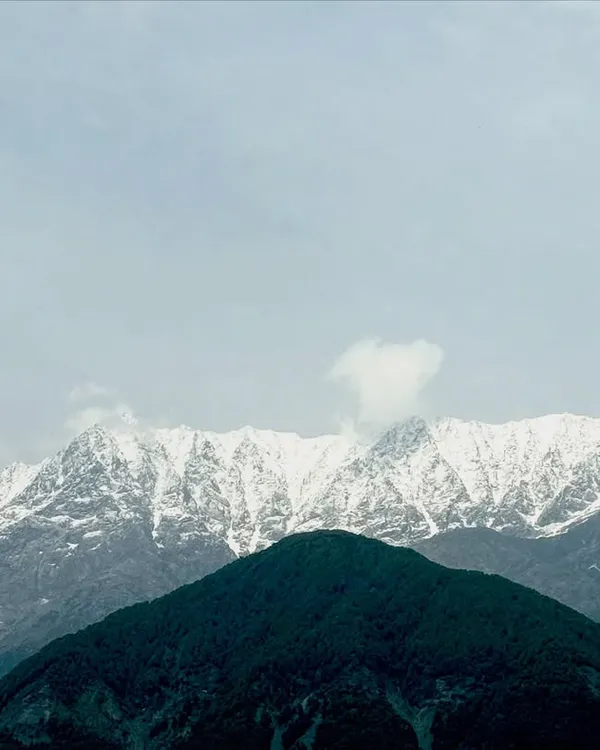 The majestic, snow-capped Dhauladhar range as seen from our retreat space. Waking up to this view is a powerful reminder of nature's strength and stillness, an energy that we carry into our practice.