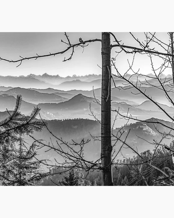 A view through the trees in Fagu, Himachal Pradesh, revealing layers of mountains fading into the mist. This black and white landscape photograph focuses on depth and atmosphere, creating a sense of immense scale and tranquility.