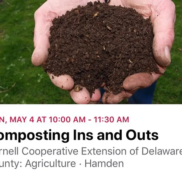 This is what it's all about: turning everyday scraps into rich, nutrient-dense compost, or 'garden gold' as I like to call it. I teach the ins and outs of this process in my live workshops, giving you the practical skills to create your own high-quality soil amendment at home.