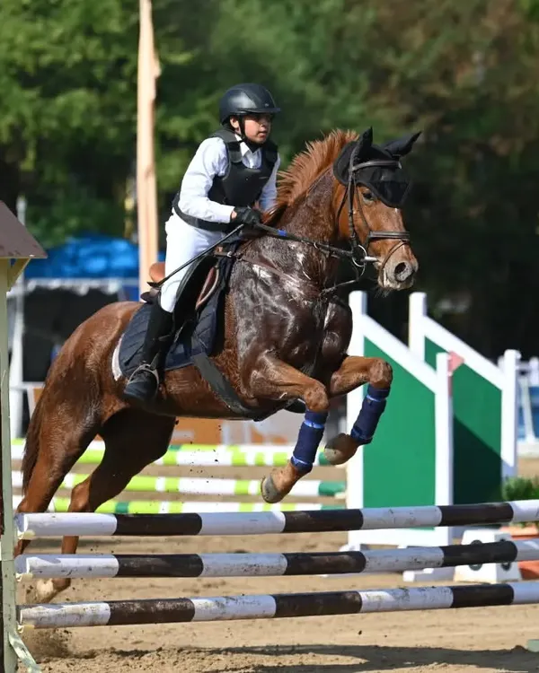 This is what we train for. A perfect form over the jump shows the dedication and skill we build in our riders and horses, preparing them for top-level show jumping competitions like the Junior National Equestrian Championship.