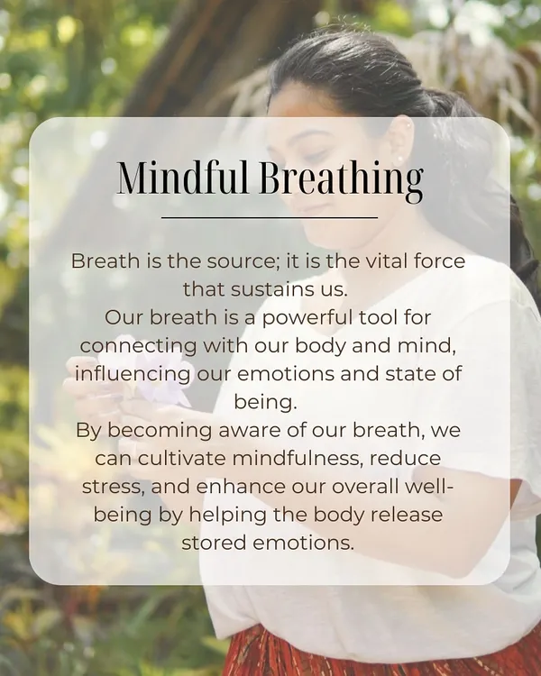 Breath is the source, the vital force that sustains us. By becoming aware of our breath, we can cultivate mindfulness, reduce stress, and enhance our well-being. This is the foundation of my breathwork practice.