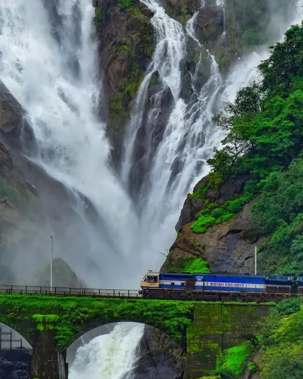 This is a sight we never get tired of, the iconic Dudhsagar Falls in its full monsoon glory with a train passing over the bridge. We plan our treks to give you the best chance to witness this magical moment, a highlight of our Western Ghats adventures.