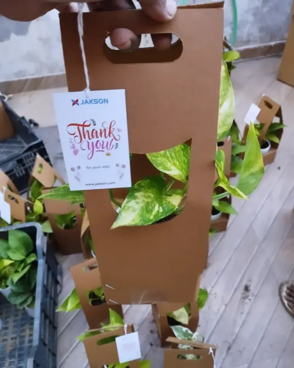The final touch makes all the difference. This Golden Pothos is presented in our convenient cardboard carrier, complete with a custom "Thank You" tag for Jakson, making it a thoughtful and easy-to-distribute event giveaway.