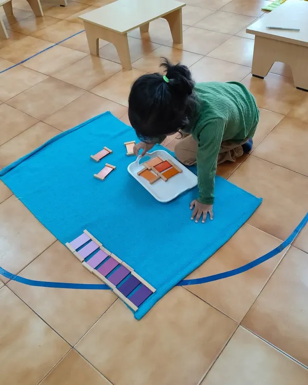 A child works with the color tablets, a classic sensorial material. This activity refines the chromatic sense, helping her to perceive the subtle differences in color shades. It is purposeful work that builds concentration and a keen eye for detail.