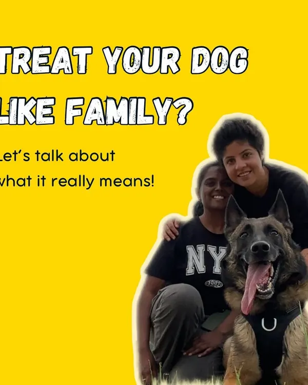 We all say we treat our dogs like family, but what does that really mean? To me, it means loving them for the unique species they are, not trying to turn them into little humans.