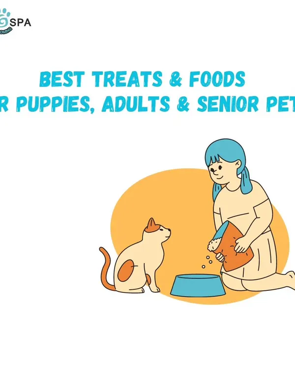 We have the best treats and foods for all life stages. Whether you have a playful puppy, an active adult, or a gentle senior pet, we have the right nutrition for them.