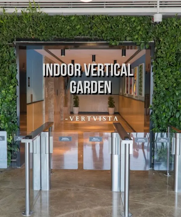 A grand entrance to a Mumbai office, transformed by a lush indoor vertical garden. This biowall creates an immersive green experience for employees and visitors from the moment they arrive, setting a tone of sustainability and wellbeing.