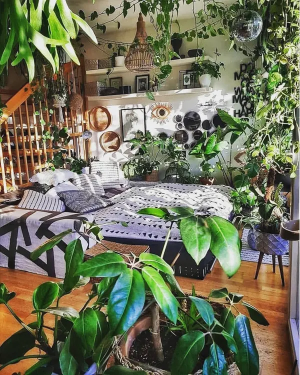 We believe that filling your home with plants is like buying happiness. This beautiful, sun-drenched room is our ultimate goal for you, a personal jungle where you can relax and grow.