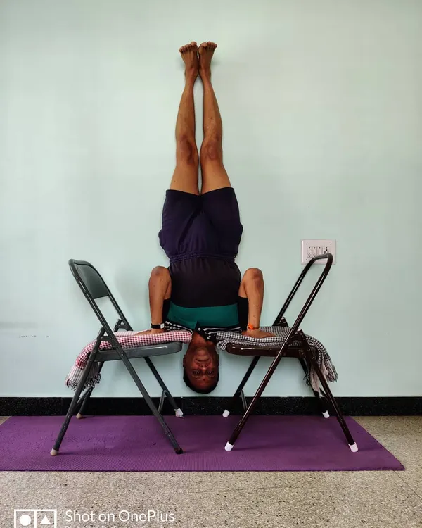 Chair Shirshasana (Headstand). Using two chairs creates a stable platform for the shoulders, removing pressure from the neck. This makes the king of asanas safer and allows you to focus on the alignment of the spine and legs.