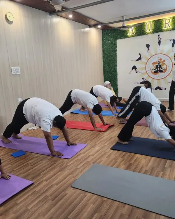 A snapshot of our group class working on Adho Mukha Svanasana (Downward-Facing Dog), a foundational pose for building strength and flexibility throughout the body. I ensure proper alignment for everyone.