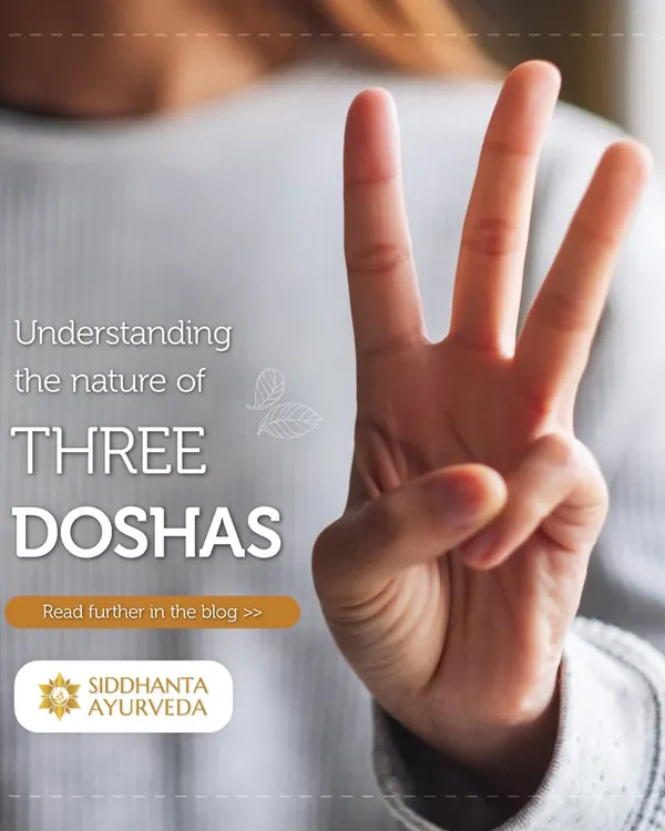 Understanding the three Doshas, Vata, Pitta, and Kapha, is the first step toward personalized health. Knowing your dominant dosha can help you make better lifestyle and diet choices to maintain balance.