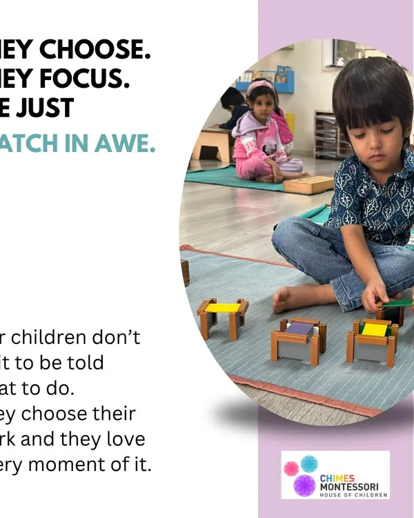 We believe in following the child's lead. Here, a young learner is deeply focused on his chosen work, demonstrating the natural concentration that emerges when children are trusted to follow their own curiosity in a prepared environment.