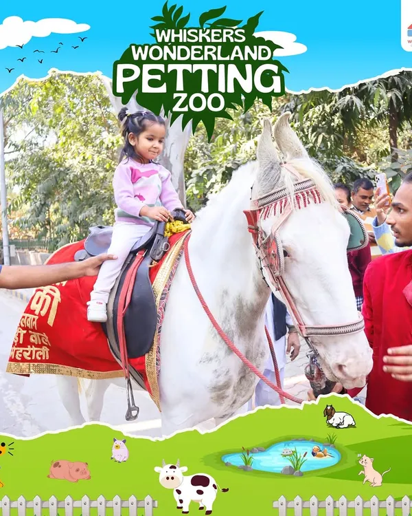 Small hands pet, big smiles bloom. At our Whiskers Wonderland Petting Zoo, children get to experience the joy of connecting with animals, including gentle pony rides that are always a highlight of the day.