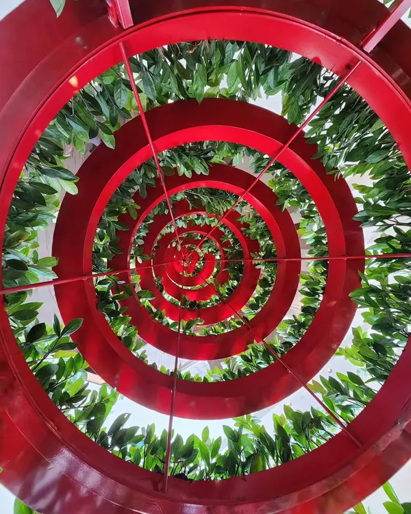 This hypnotic spiral shows the beginnings of a unique Christmas tree installation we built at the Westin Mumbai Powai. We love finding creative and epic ways to celebrate the season with greenery.