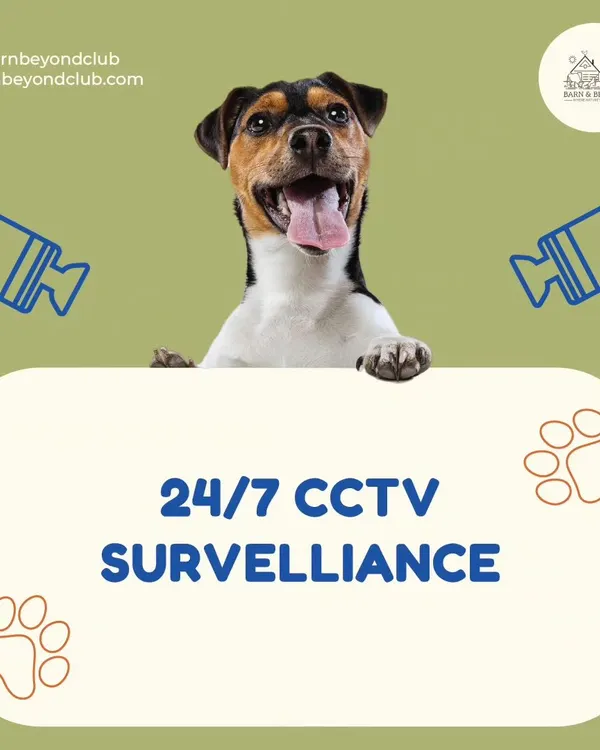 Bilkul tension nahi! With 24/7 CCTV surveillance across our entire property, you can rest assured that your dog is safe and monitored at all times. Your peace of mind is paramount to us.