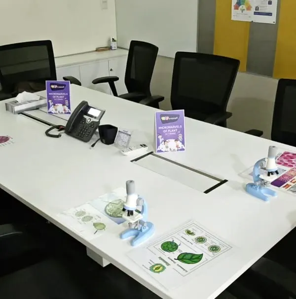 A boardroom transformed into a biology lab. We set up microscopes on the conference table, allowing kids to explore the hidden world of leaves and cells during a "Kids at Work" day.