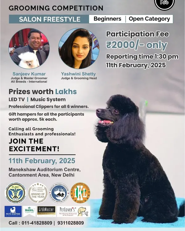 I was honored to be a judge for this Salon Freestyle grooming competition in New Delhi. Events like these are crucial for encouraging new talent and pushing the standards of professional grooming in India.