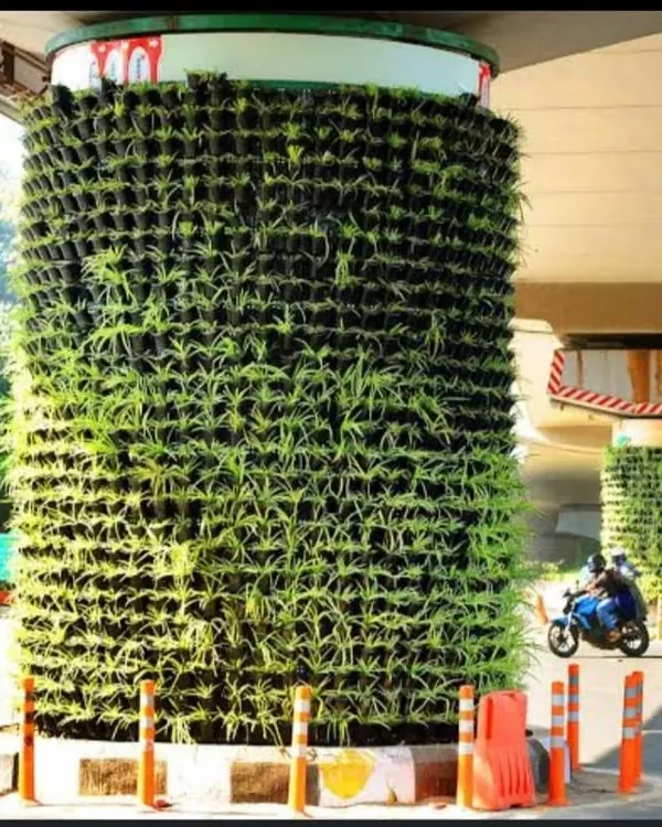 This is a public project where I transformed a metro pillar into a column of green. My vertical gardens are a great way to bring nature into urban infrastructure.