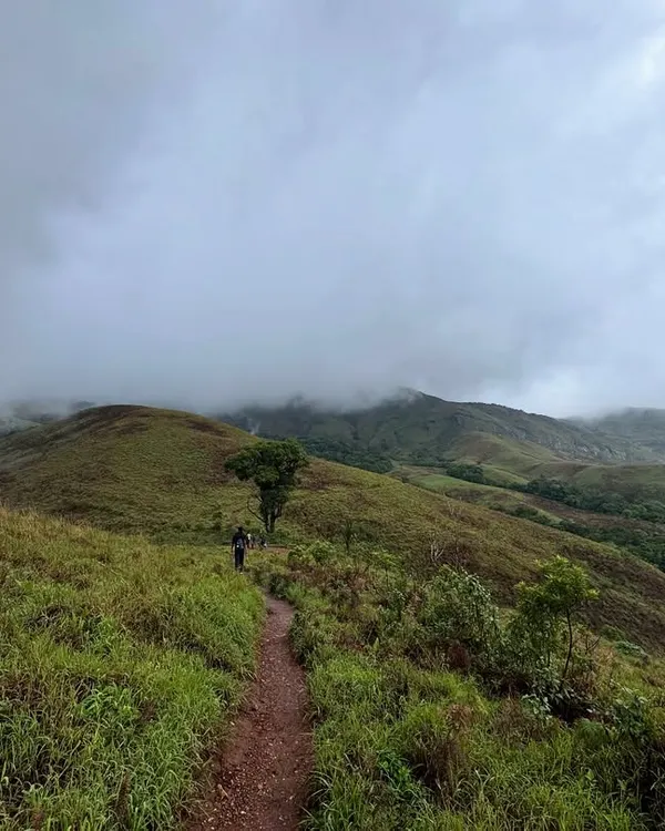 The trail to Kudremukha is an adventure in itself, with paths winding through lush green landscapes. This is just a glimpse of the journey that awaits.
