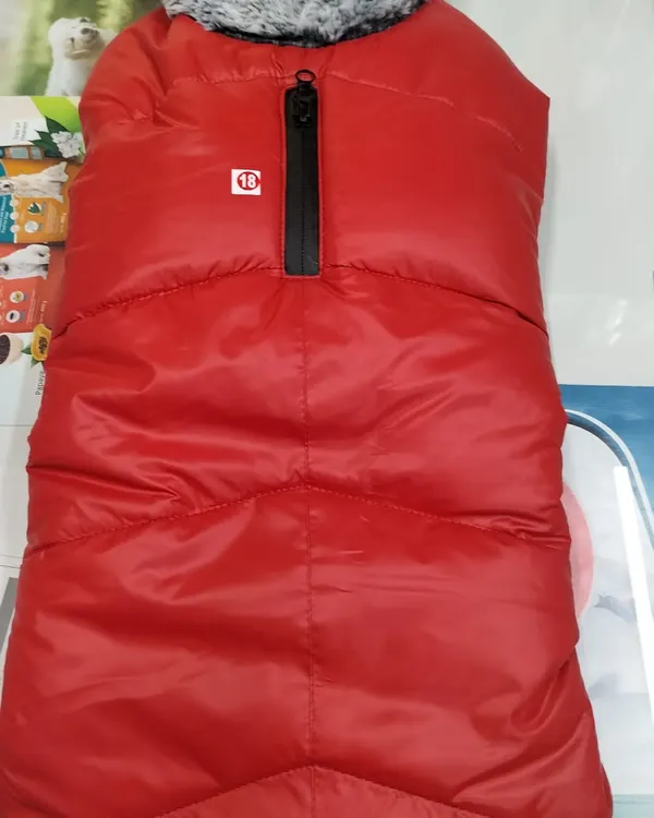 Keep your buddy warm with this red padded winter jacket. It has a soft, furry collar for extra comfort during cold morning walks.