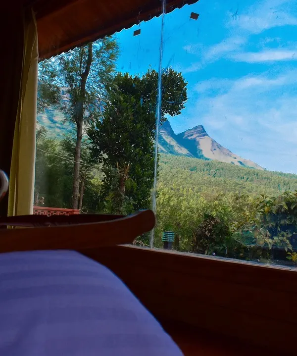 Waking up with a cup of coffee to this view of the Mullayanagiri range from a cozy wooden cabin in Chikmagalur. This is the perfect start to a day of relaxation.