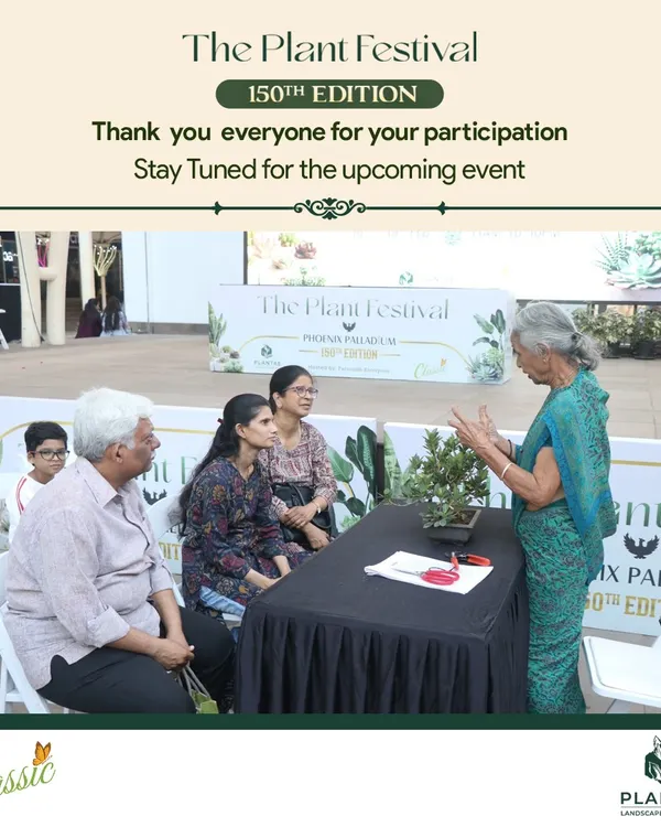 A glimpse of our hands-on bonsai workshop in action. Our experts guide participants through the intricate art of bonsai, sharing techniques and knowledge.