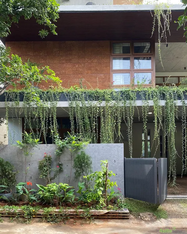 A candid shot of the "House of Greens" facade, showing how the creepers have grown to create a lush, green veil over the building.