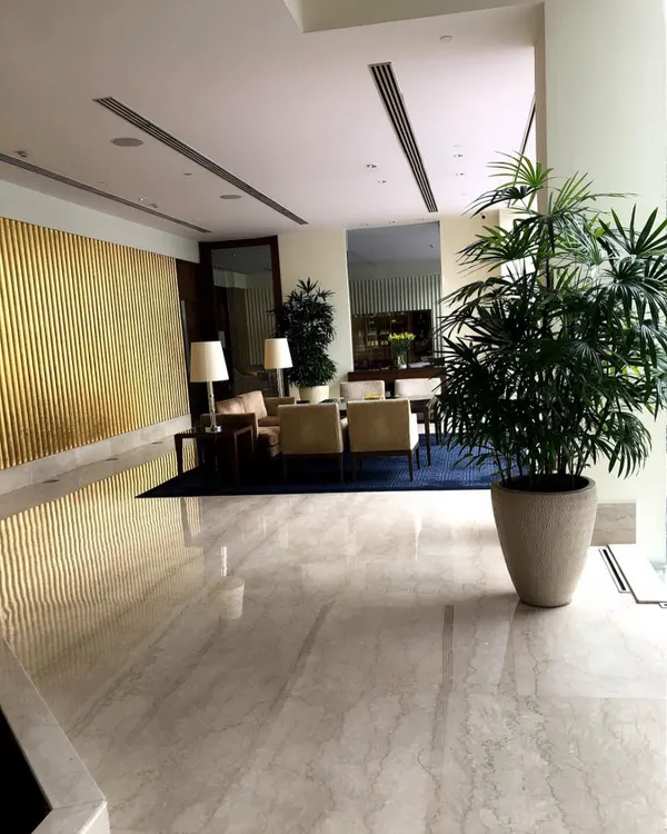 A tall Lady Palm (Rhapis excelsa) adds a touch of sophisticated green to this hotel lobby. These palms are excellent for indoor spaces as they tolerate lower light levels.