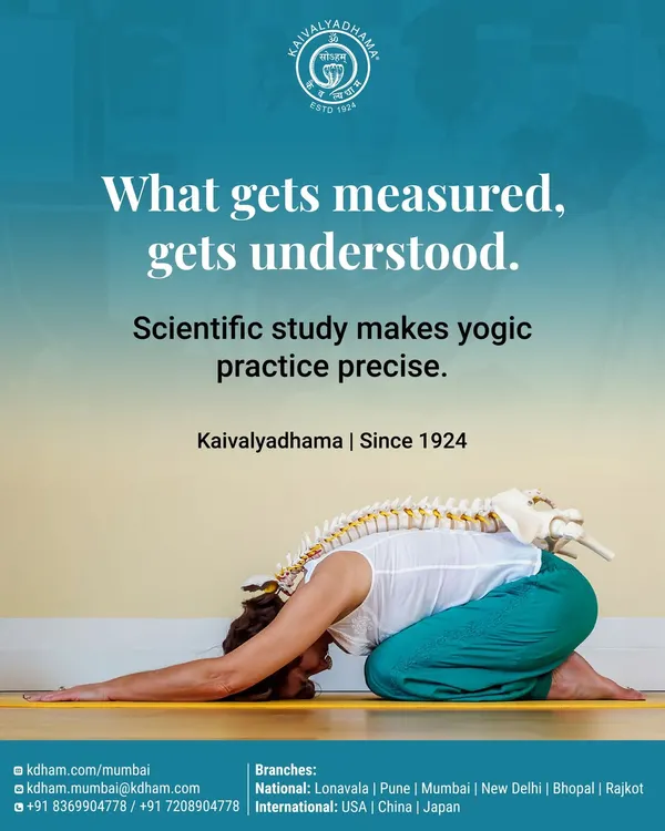Understanding the biomechanics of a pose is crucial for safe practice. This graphic uses a model of the spine over a practitioner in Balasana (Child's Pose) to illustrate how scientific study makes yogic practice precise.