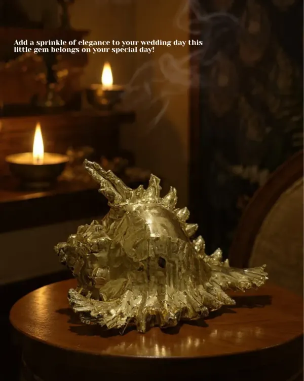 Add a sprinkle of elegance to your wedding day with this unique, silver-plated decorative conch shell. It's a little gem that brings a touch of the ocean's grace to your decor.