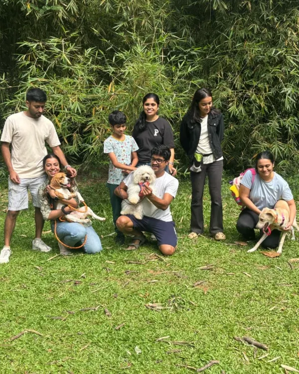 A successful socialization session is not about a chaotic free-for-all. Here, we are practicing engagement with parents and calm neutrality in the presence of other dogs, which are the foundational skills for good social behavior.