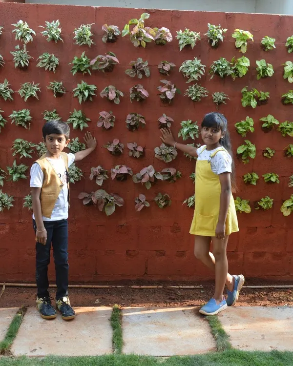 This is why I do what I do. Seeing a family enjoy their new living wall makes all the hard work worth it. I can turn any plain wall into a vibrant vertical garden that brings life and fresh air to your home.