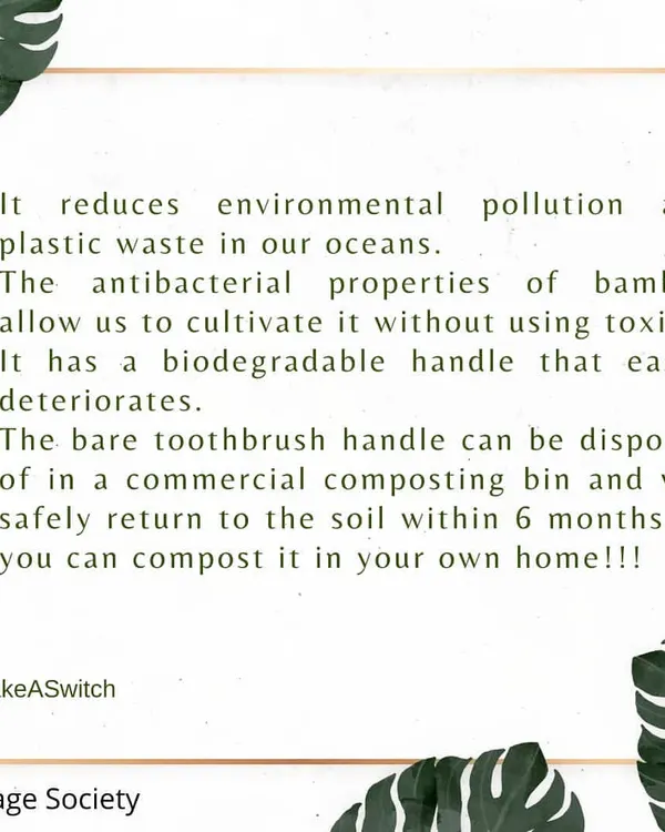 This graphic details the environmental benefits of switching to a bamboo toothbrush. It highlights how the biodegradable handle reduces plastic pollution and can be safely composted at home, returning to the soil within six months.