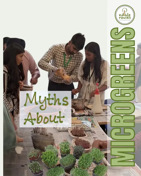 I regularly host workshops to bust common myths about growing food, like this one focused on microgreens. Education is a key part of my mission to empower people to grow.